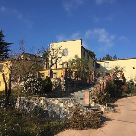 Bed and Breakfast Turismo Rurale Oro Verde Bronte Exterior foto