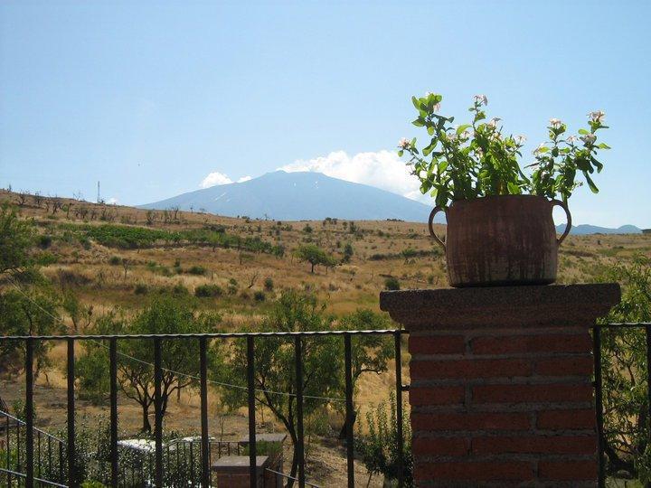 Bed and Breakfast Turismo Rurale Oro Verde Bronte Exterior foto